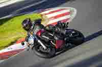brands-hatch-photographs;brands-no-limits-trackday;cadwell-trackday-photographs;enduro-digital-images;event-digital-images;eventdigitalimages;no-limits-trackdays;peter-wileman-photography;racing-digital-images;trackday-digital-images;trackday-photos